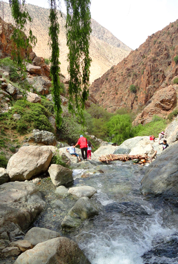 Day trip to ourika valley from marrakech